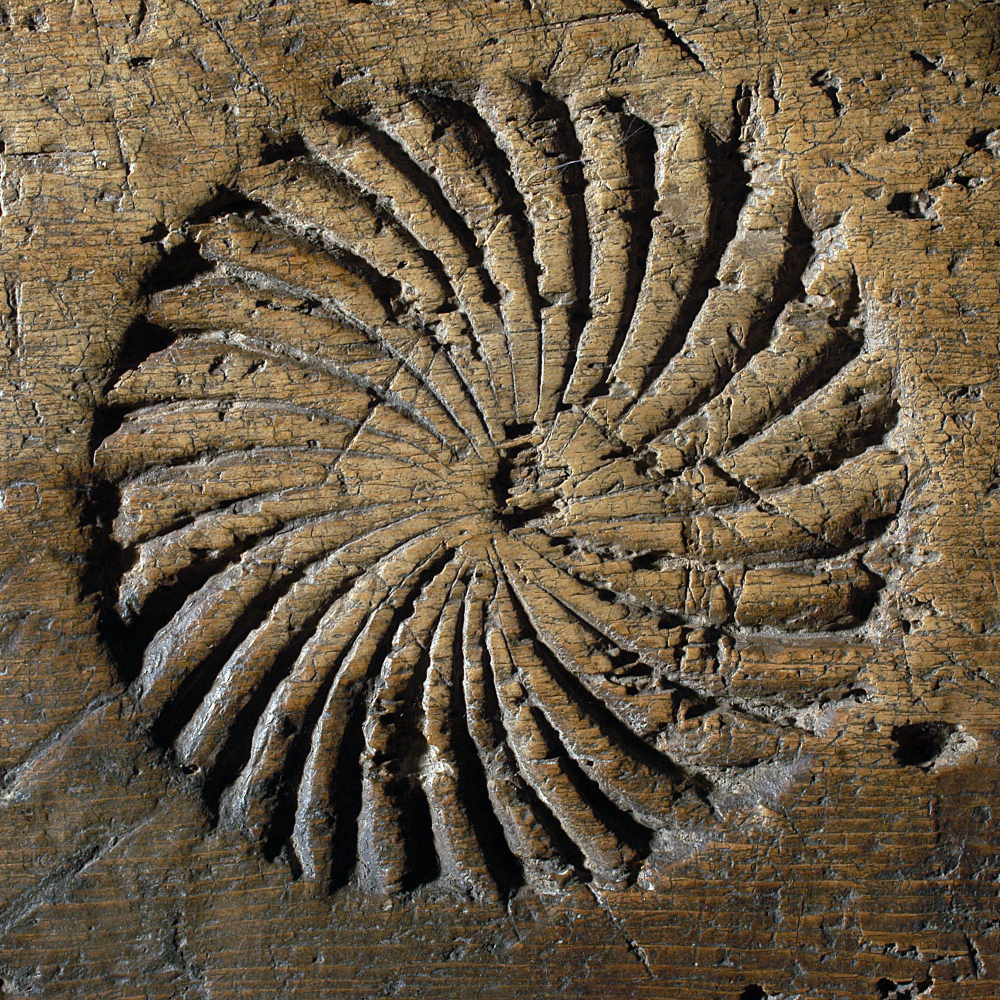Sonnenwirbel
